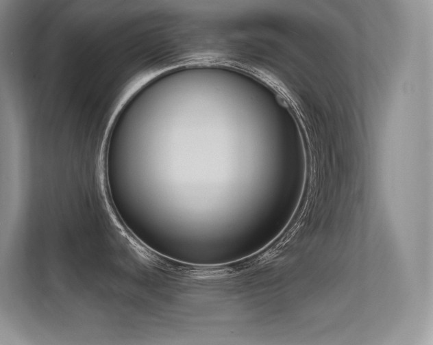 X0000112391440200908131540