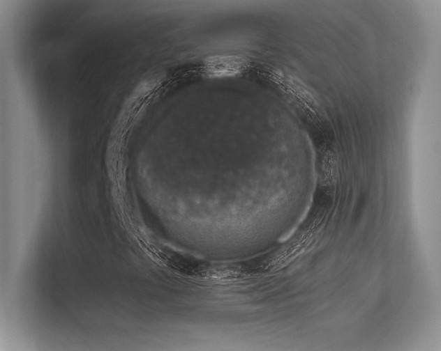 X0000112391441200908131539