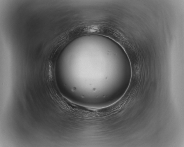 X0000112391442200908131539