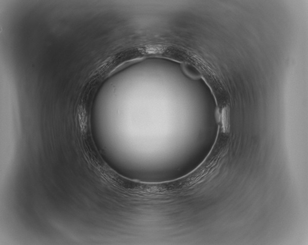 X0000112391443200908131539