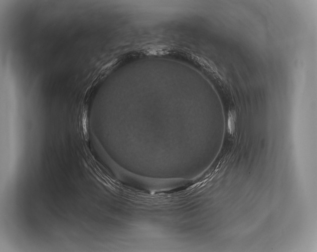 X0000112391444200908131539