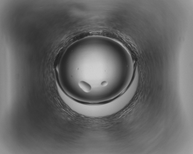 X0000112391445200908131539