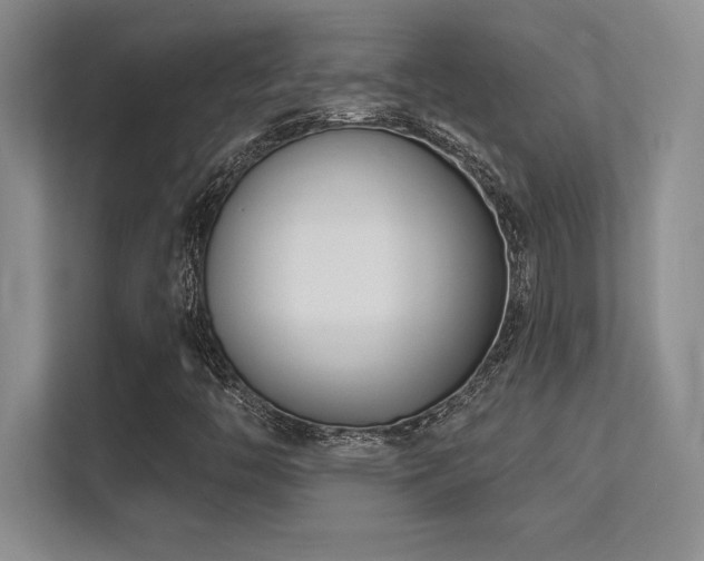 X0000112391446200908131539