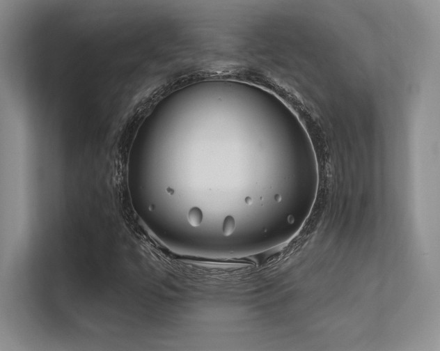 X0000112391447200908131539