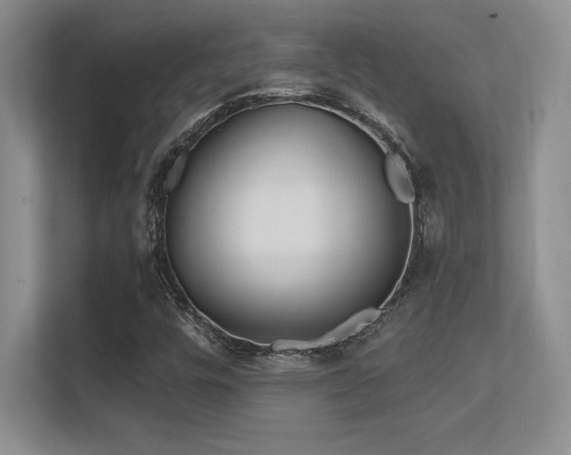 X0000112391448200908131539