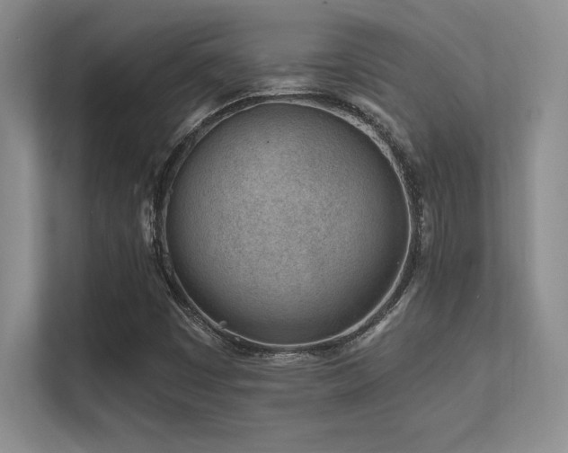 X0000112391449200908131539