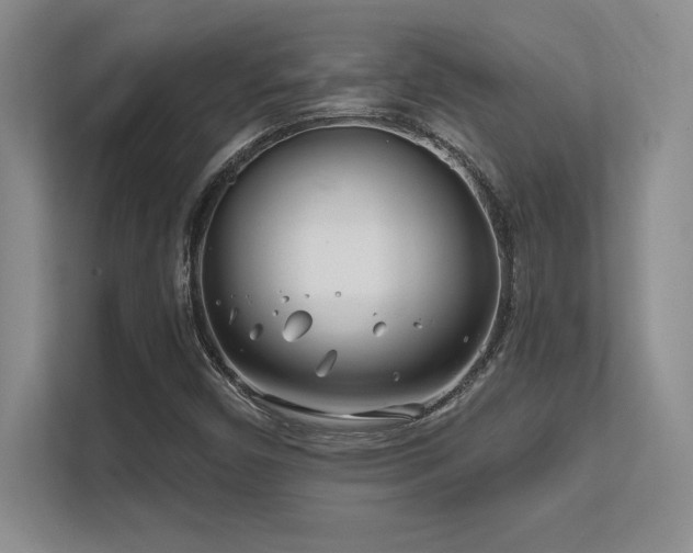 X0000112391450200908131539