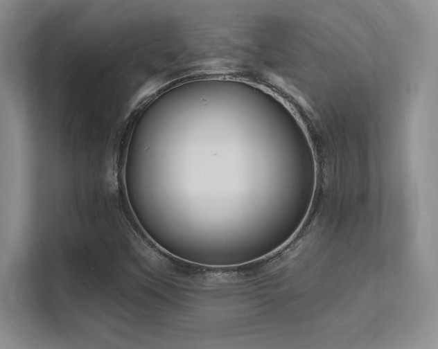 X0000112391451200908131539