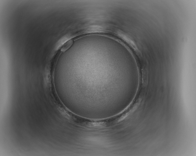 X0000112391453200908131539