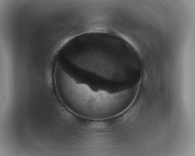 X0000112391455200908131539