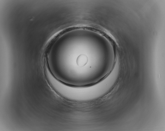 X0000112391456200908131539