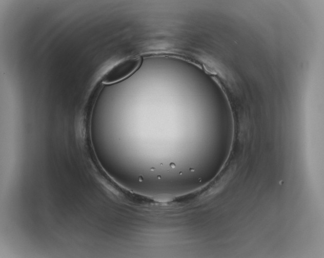 X0000112391458200908131539