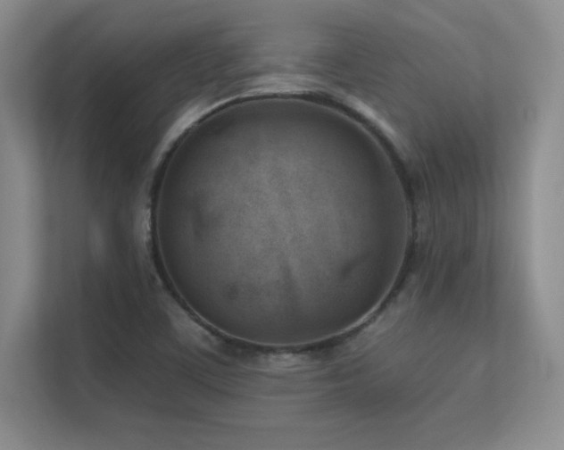 X0000112391459200908131539