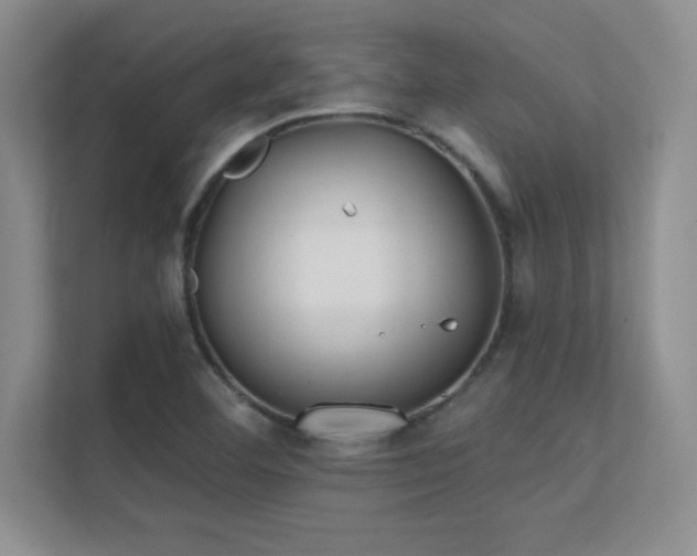 X0000112391460200908131539