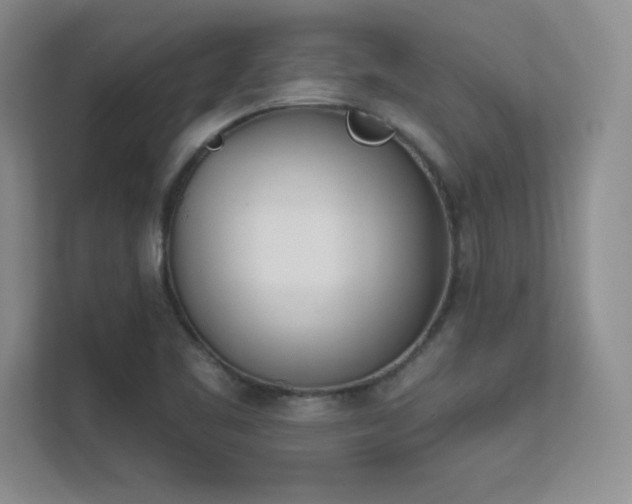 X0000112391461200908131539