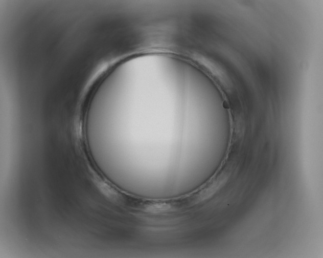 X0000112391462200908131539