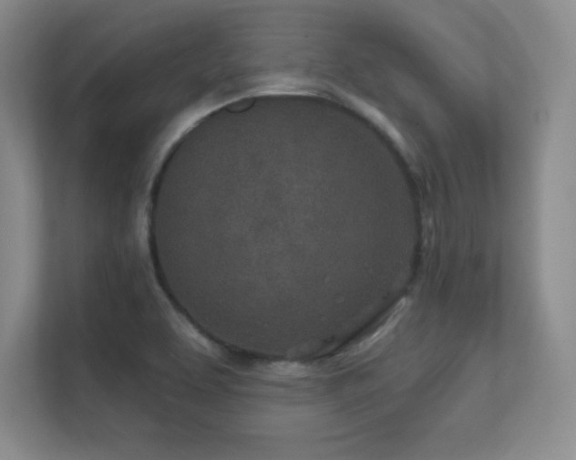 X0000112391463200908131539