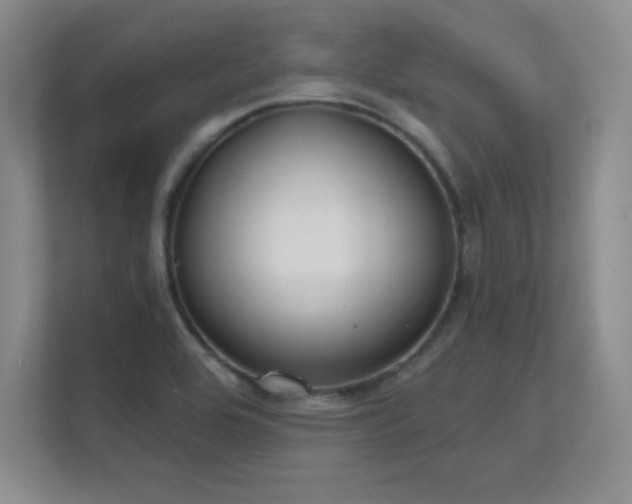 X0000112391464200908131539