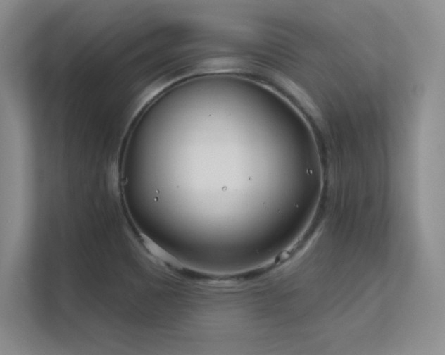 X0000112391465200908131539