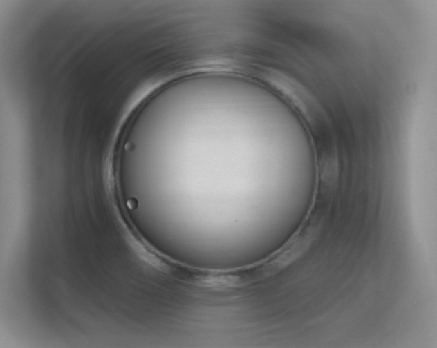 X0000112391466200908131539