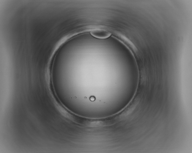 X0000112391467200908131539