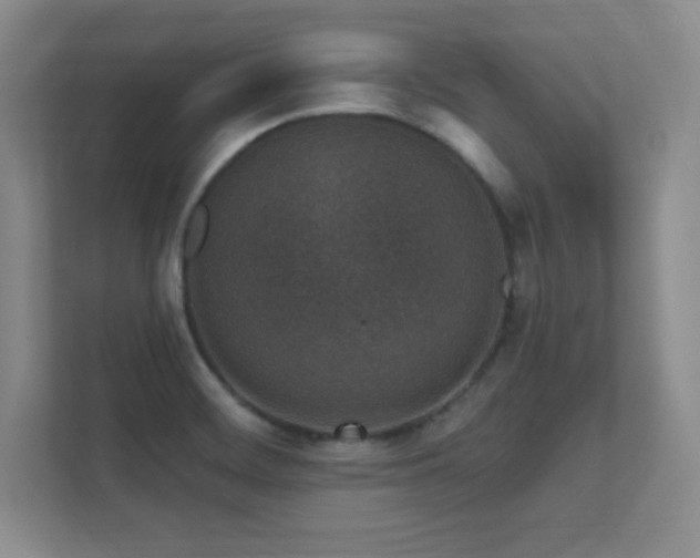 X0000112391468200908131539