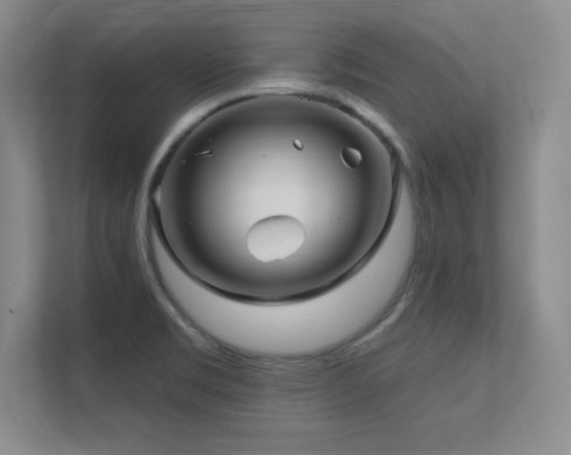 X0000112391469200908131539