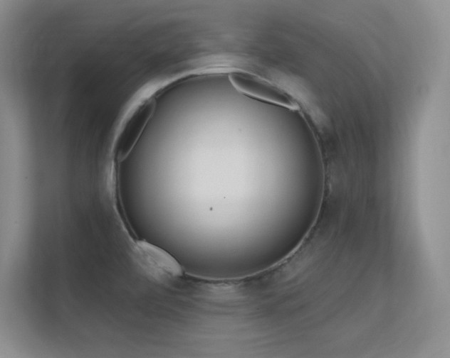 X0000112391472200908131539