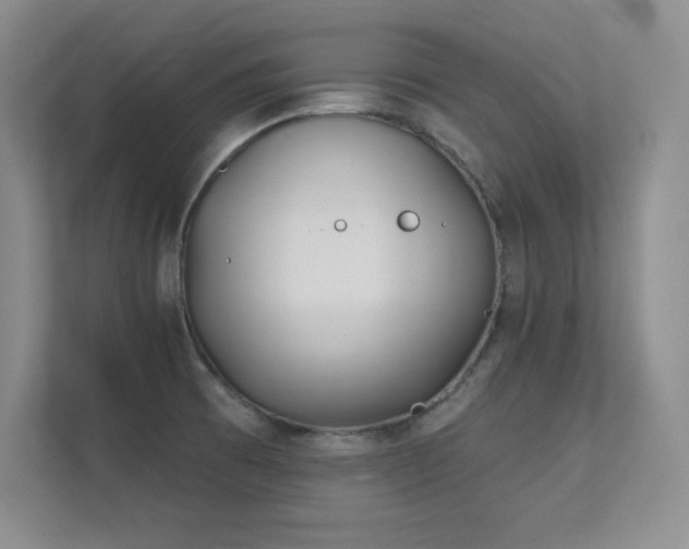 X0000112391473200908131539