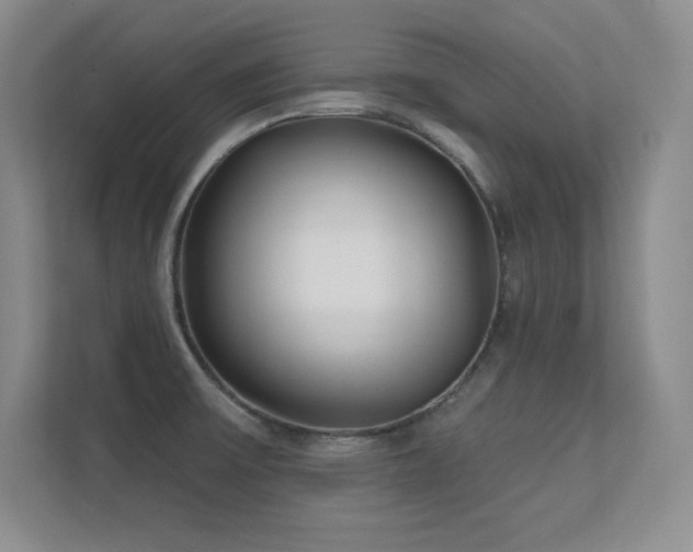 X0000112391475200908131539