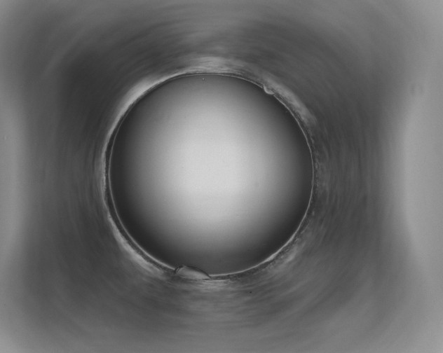 X0000112391479200908131539