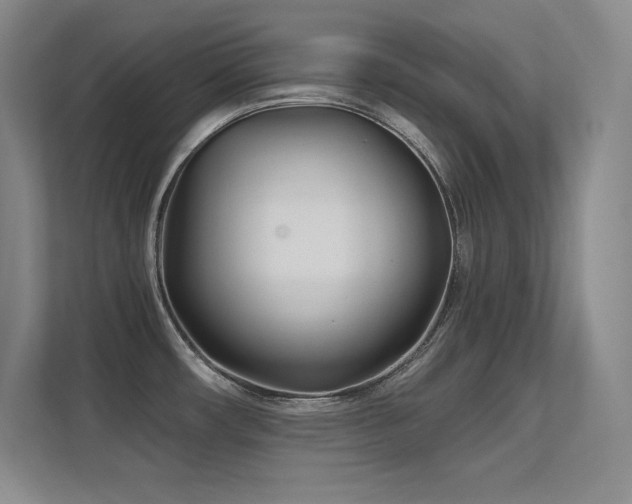 X0000112391482200908131539