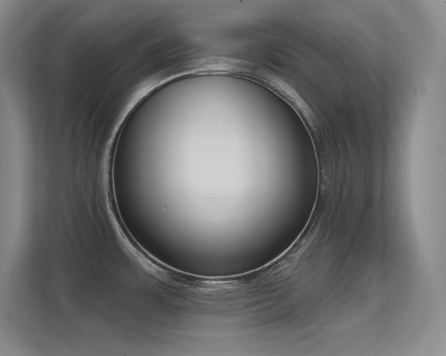 X0000112391483200908131539