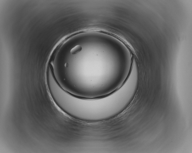 X0000112391484200908131539