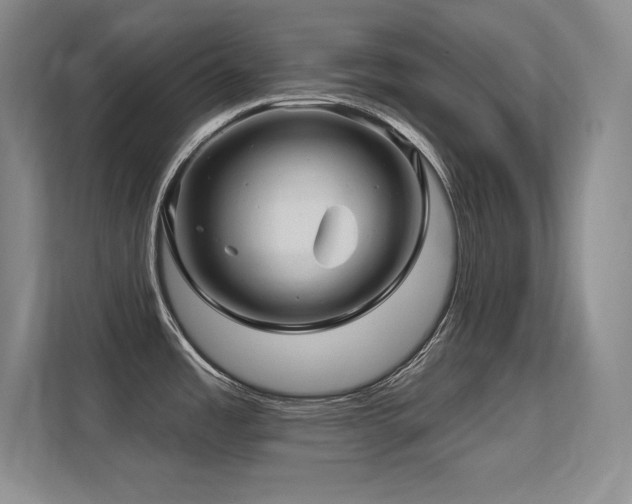 X0000112391485200908131539