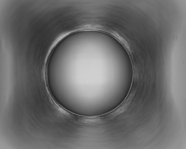 X0000112391486200908131539