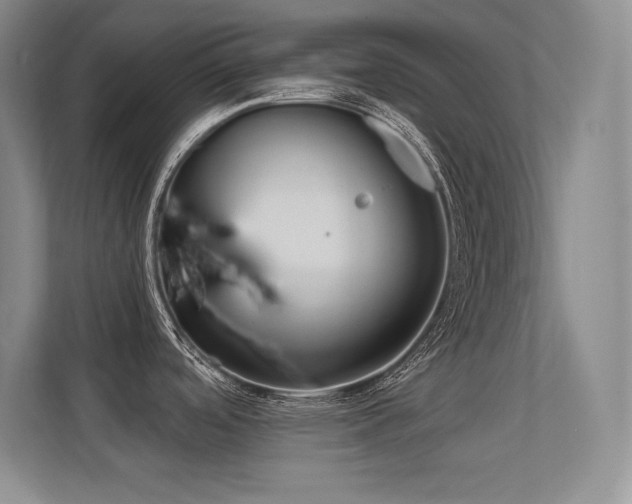 X0000112391488200908131539