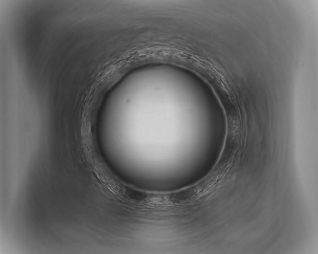 X0000112391489200908131538