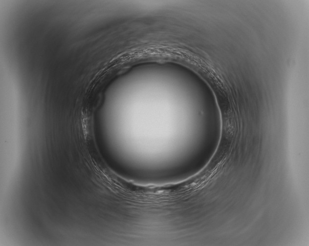 X0000112391490200908131538