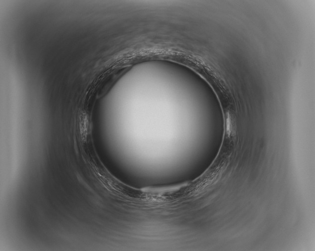 X0000112391492200908131538