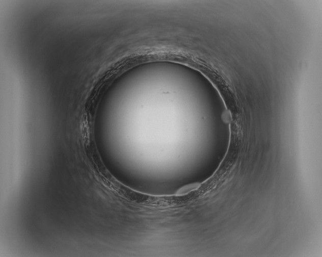 X0000112391493200908131538