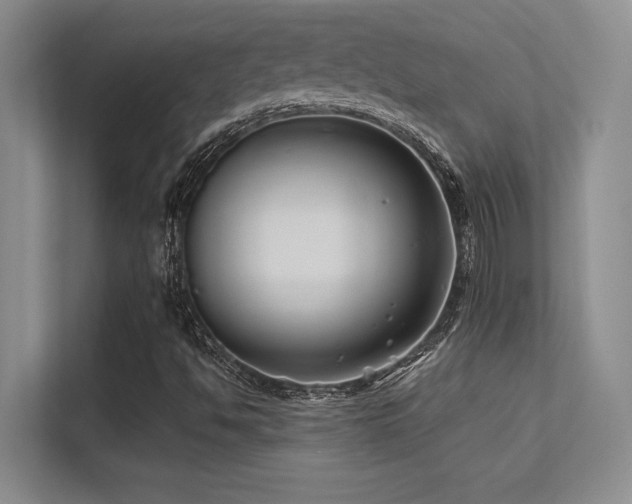 X0000112391494200908131538