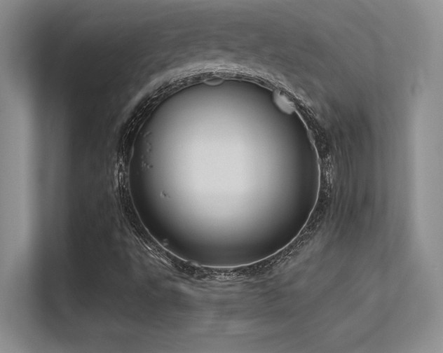 X0000112391495200908131538