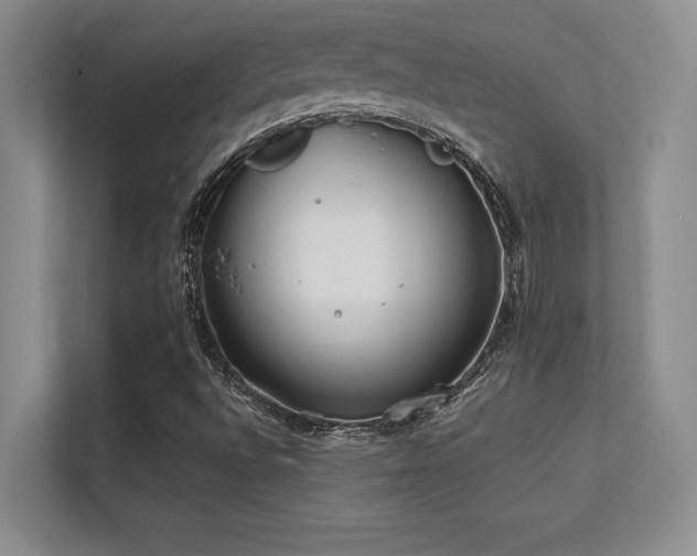 X0000112391496200908131538