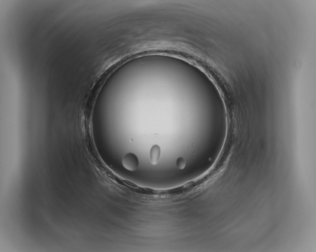 X0000112391497200908131538