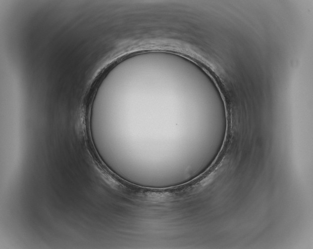 X0000112391498200908131538