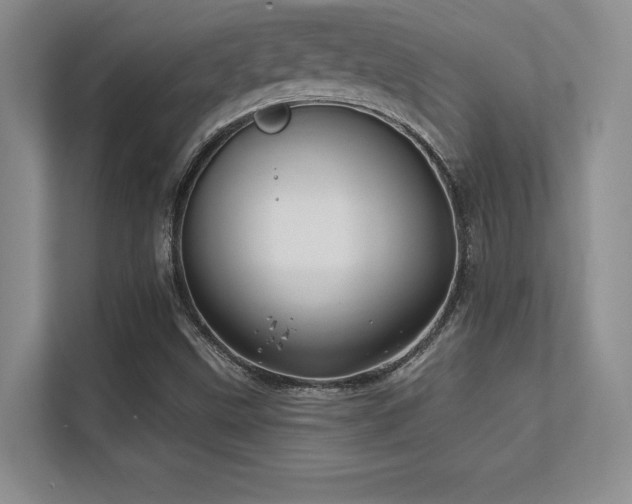 X0000112391499200908131538