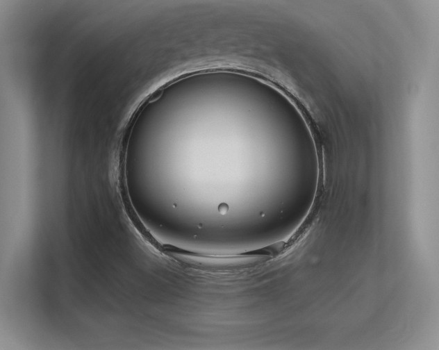 X0000112391500200908131538