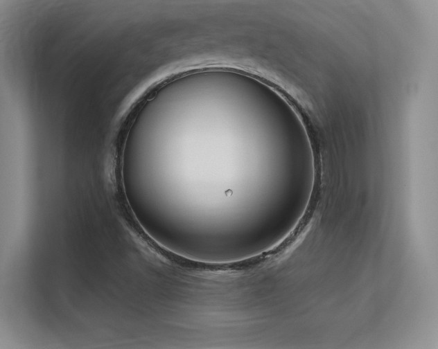 X0000112391502200908131538