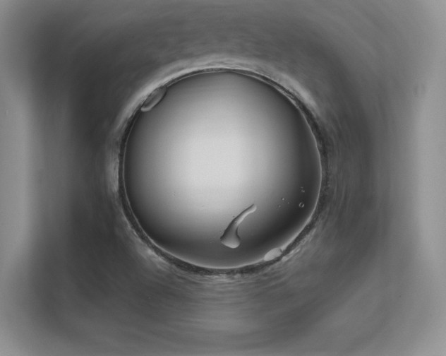 X0000112391504200908131538